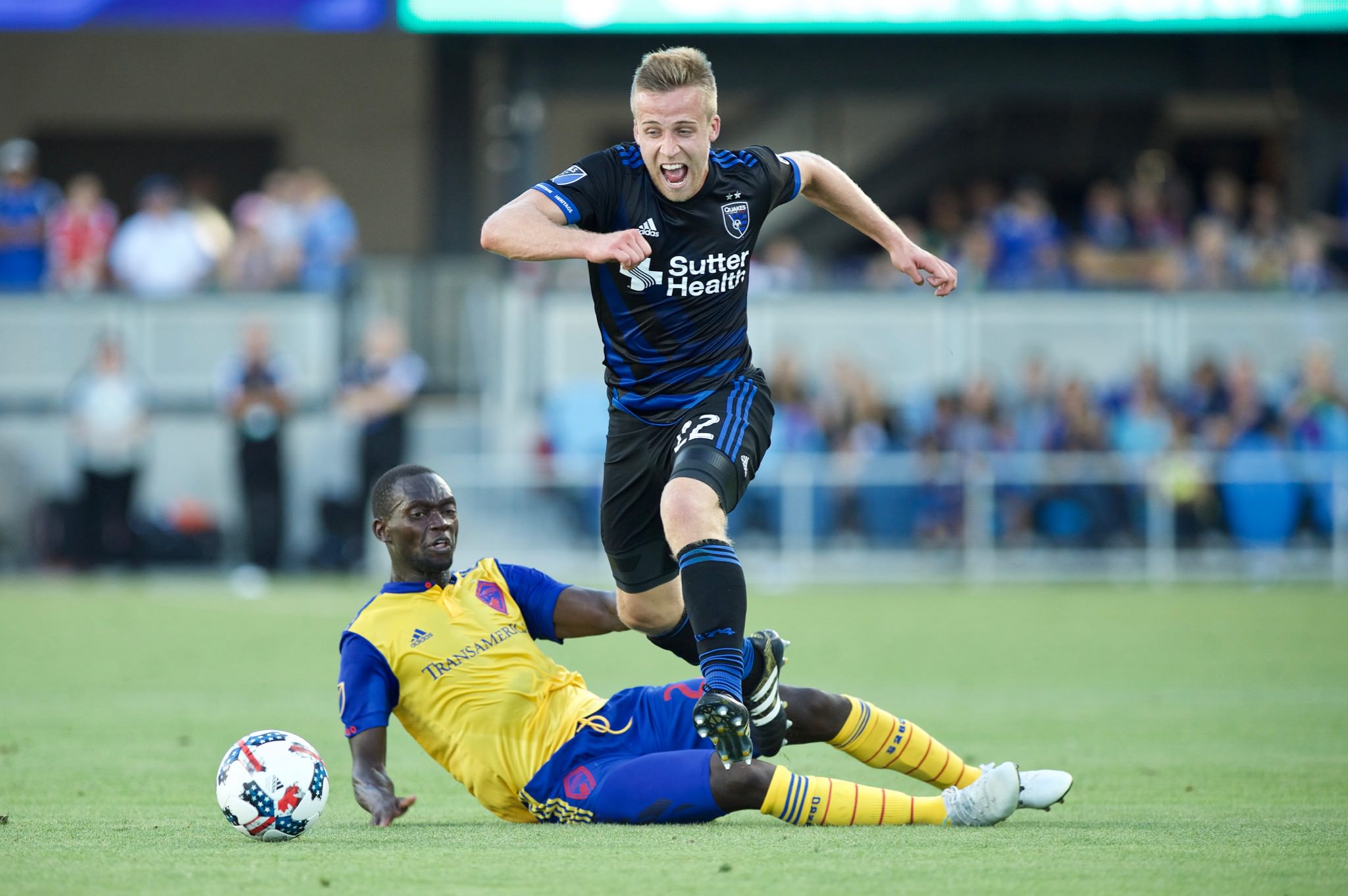 在法国国家 在法国国家