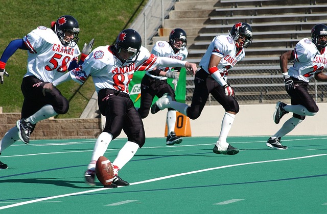 市各大体育 市各大体育