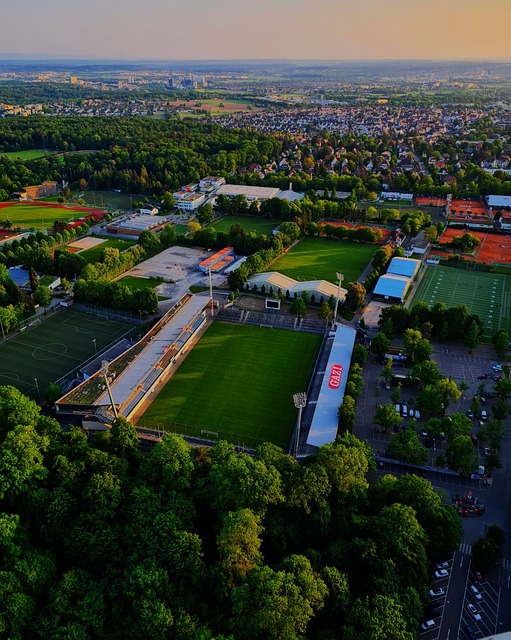 追逐愈发明 追逐愈发明