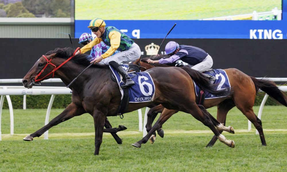 排名联盟前 排名联盟前