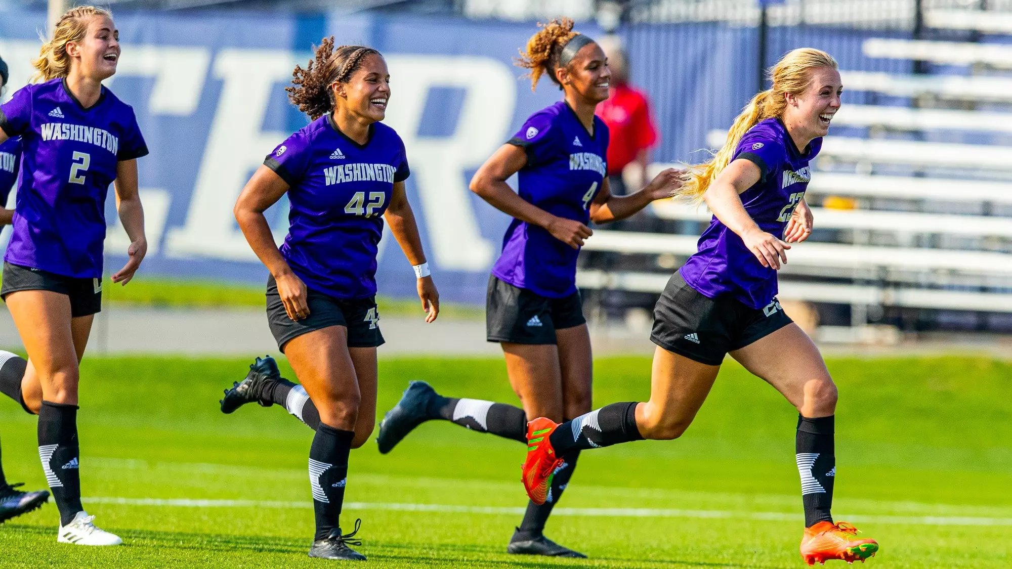 狼塞事件 狼塞事件