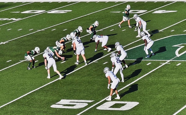 再次展现出 再次展现出